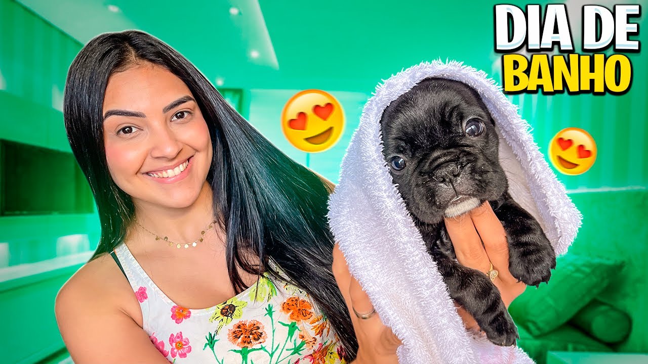 OS FILHOTES TOMARAM BANHO PELA PRIMEIRA VEZ!!! 😍