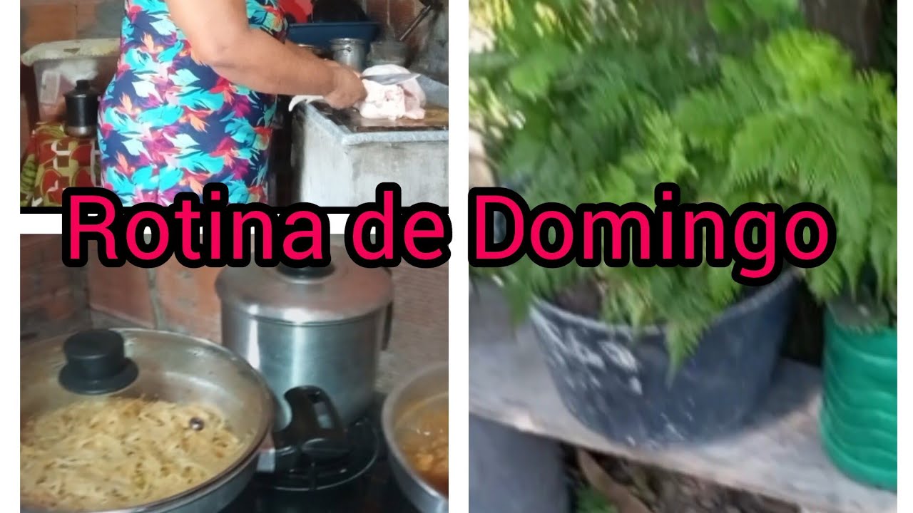 Mostrando um pouco do meu domingo 😊