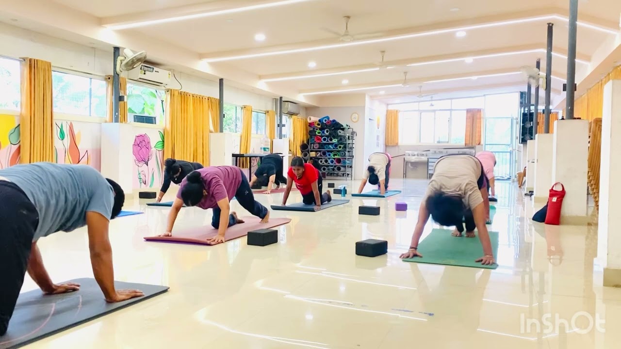 Surya Namaskar 20 times daily - can help reduce body weight.