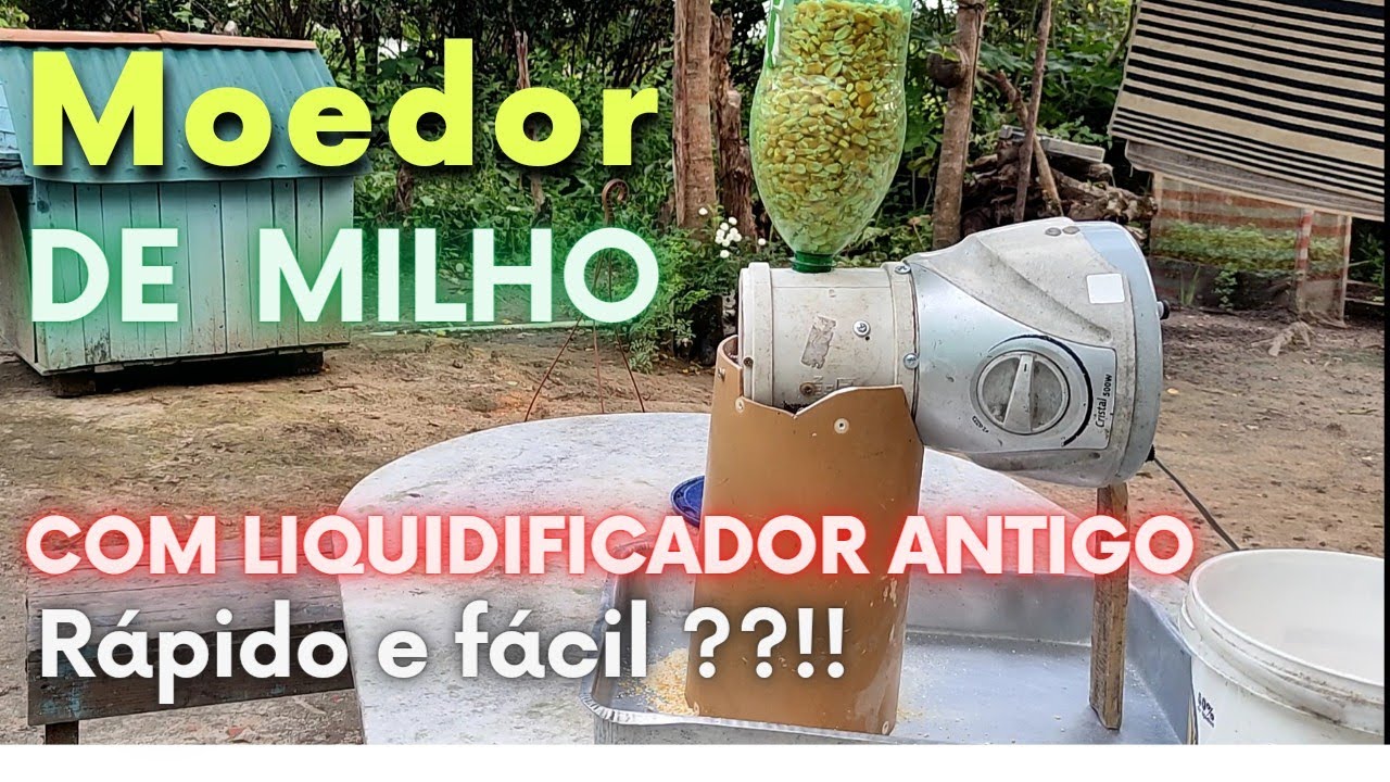 Moedor de Milho feito com liquidificador (forrageira) @familia_m