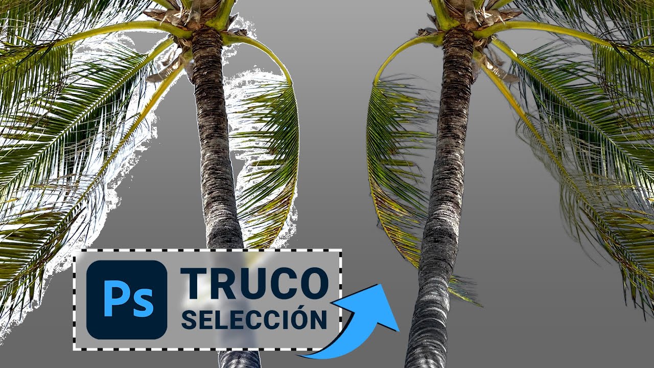 TRUCO para Seleccionar Árboles 🌴 en Photoshop