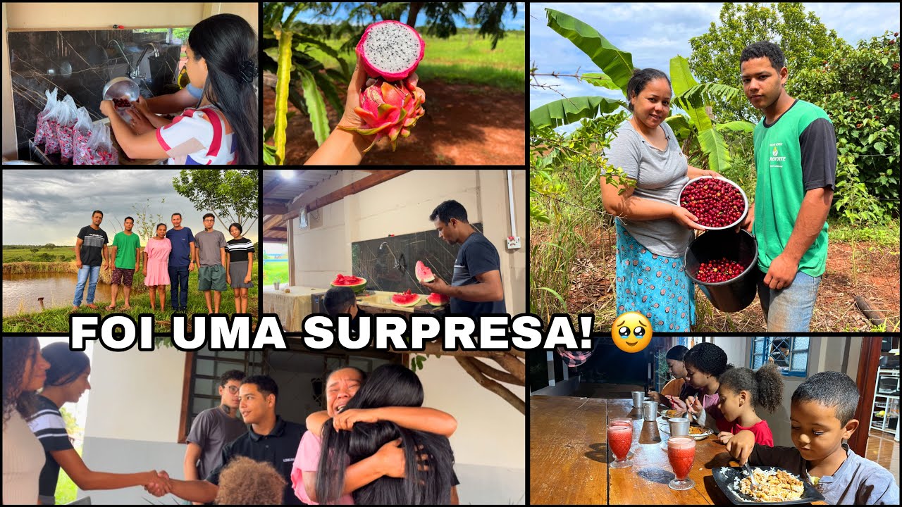 INÍCIO DE UM GRANDE SONHO! ELES VEIO DE LONGE… SURPREENDENTE A COLHEITA QUE FIZEMOS NO NOSSO SÍTIO…