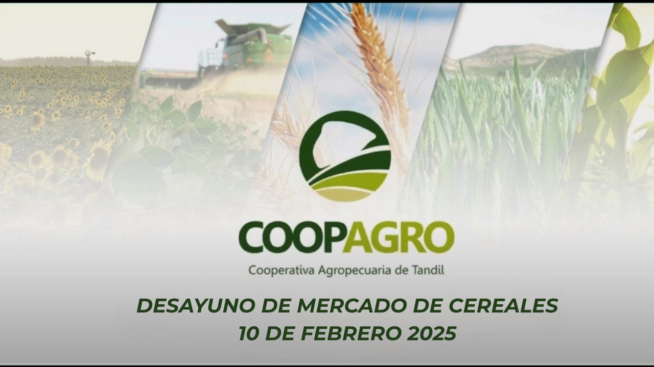 Mercado de Cereales 10 de Febrero 2026