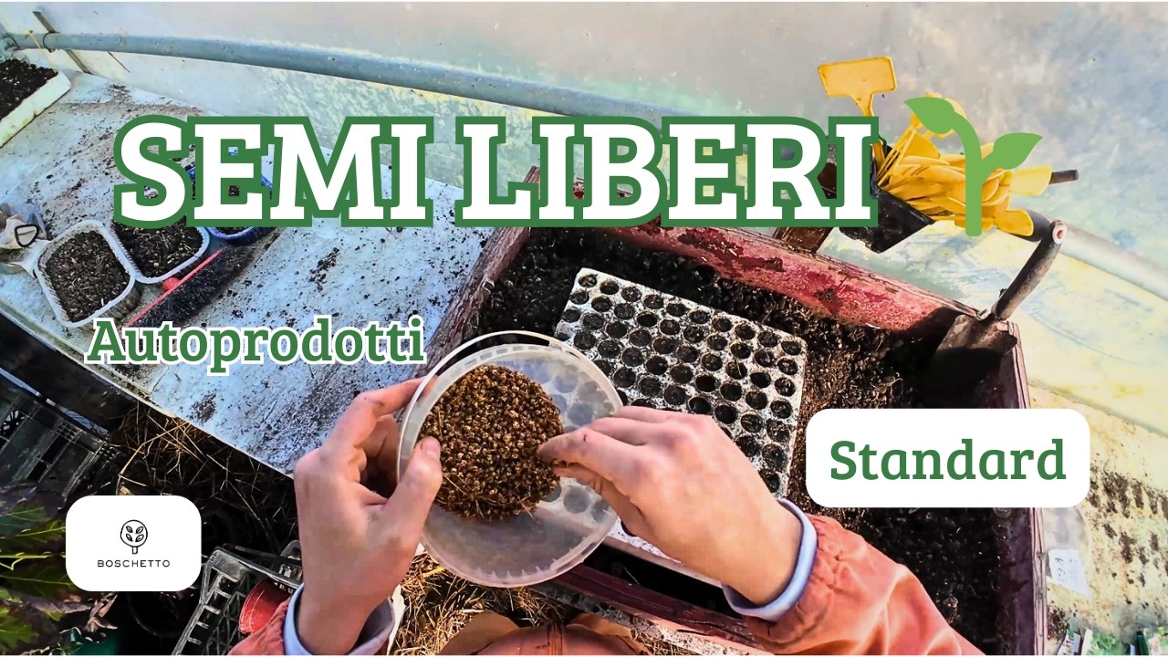 Semine 2026: L'importanza dei Semi Riproducibili e Standard | Boschetto Alimentare