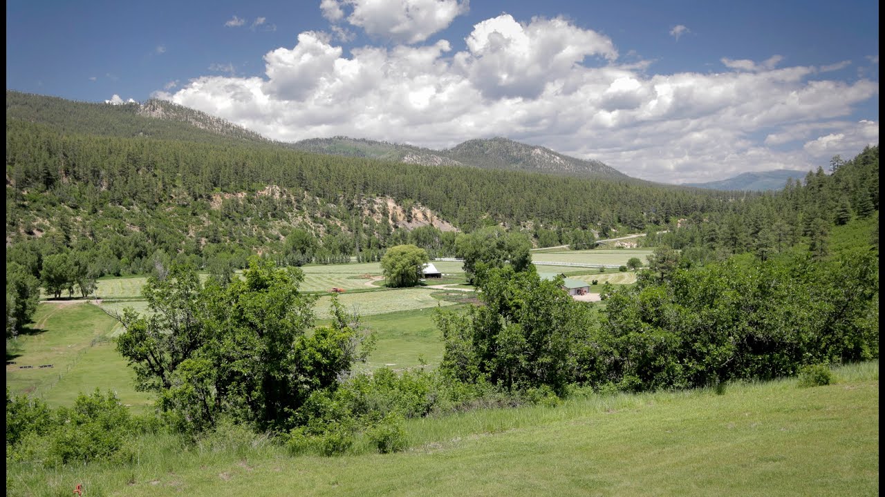 Ranch for sale - Durango Colorado - real estate