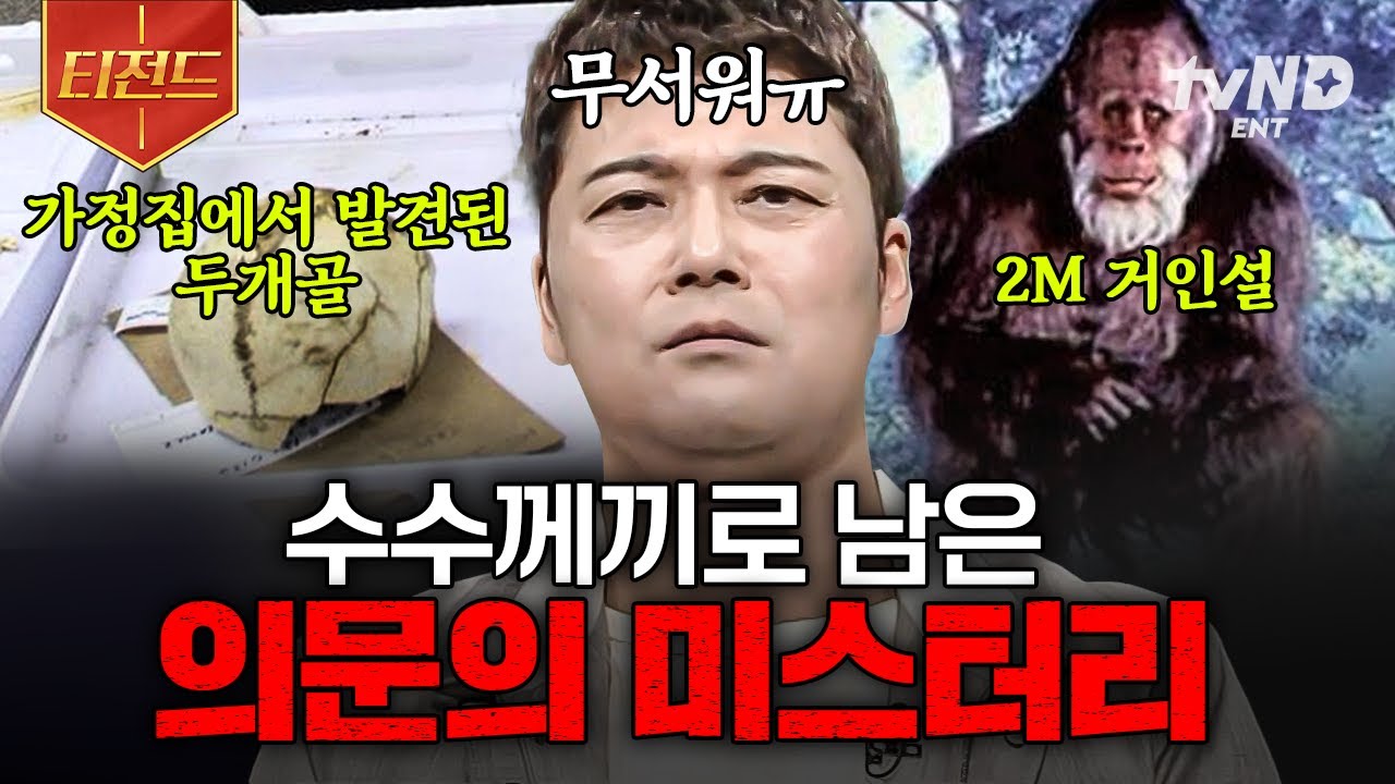 [#프리한19] 아직까지 진실이 밝혀지지 않은 이야기😱 전 세계를 공포에 떨게 한 미스터리 전설들 | #티전드