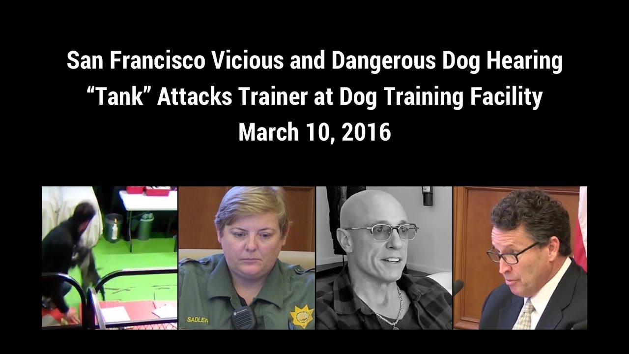 San Francisco Vicious and Dangerous Dog Hearing for "Tank"