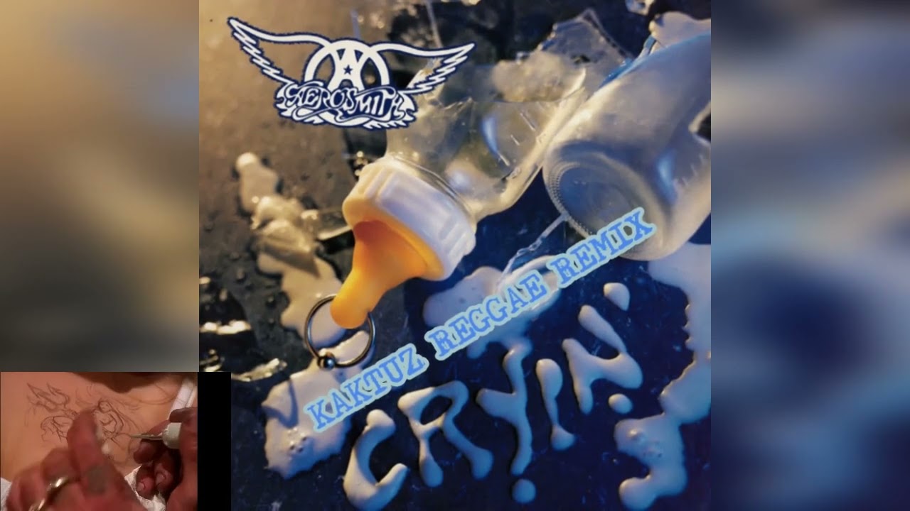 Aerosmith - Cryin' (KaktuZ RemiX)