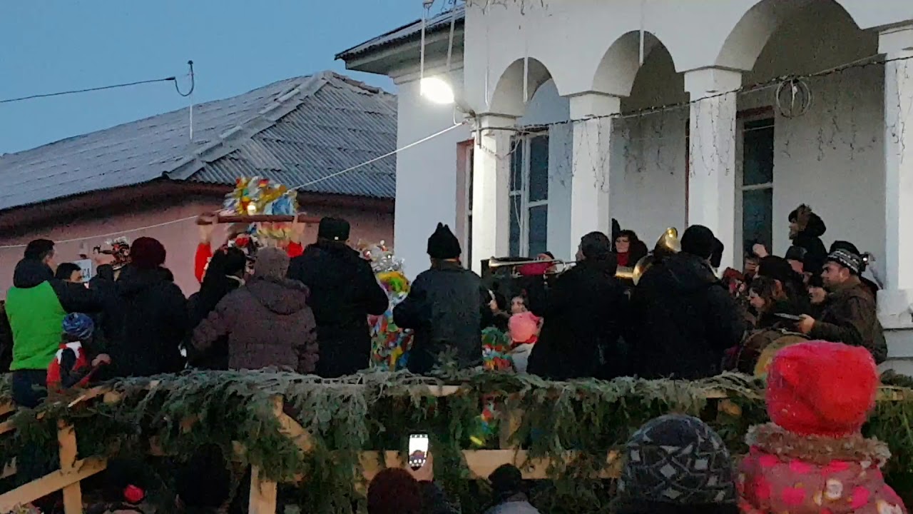 Capra de la Pîncești 2017-2018.