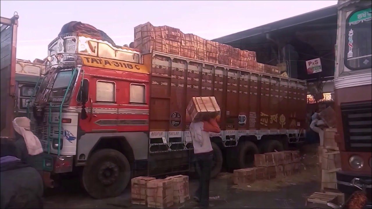 supply chain management video cases