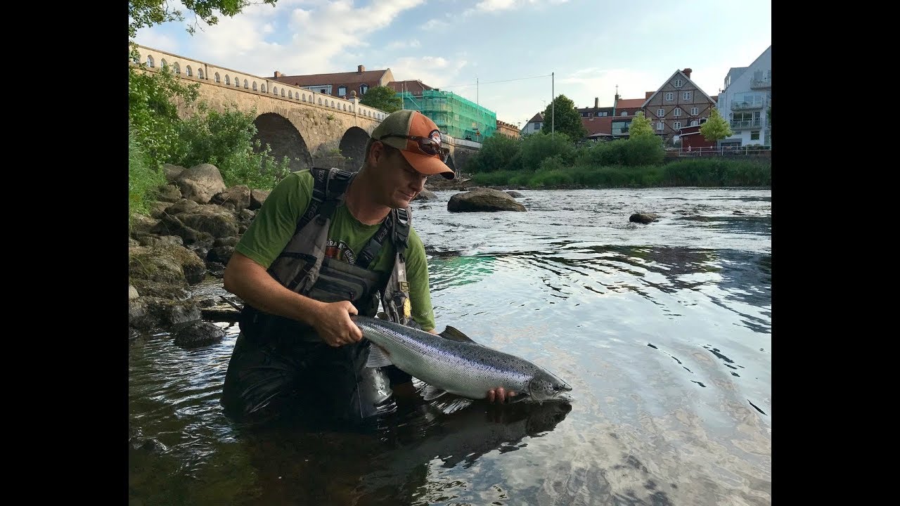 Jesper catches a salmon in Falkenberg