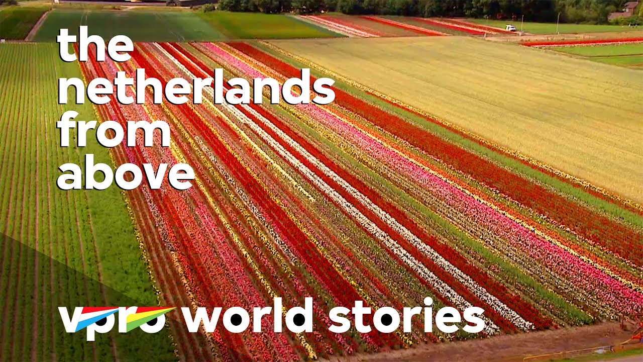 Tulips growth and Dutch prosperity - The Netherlands from above