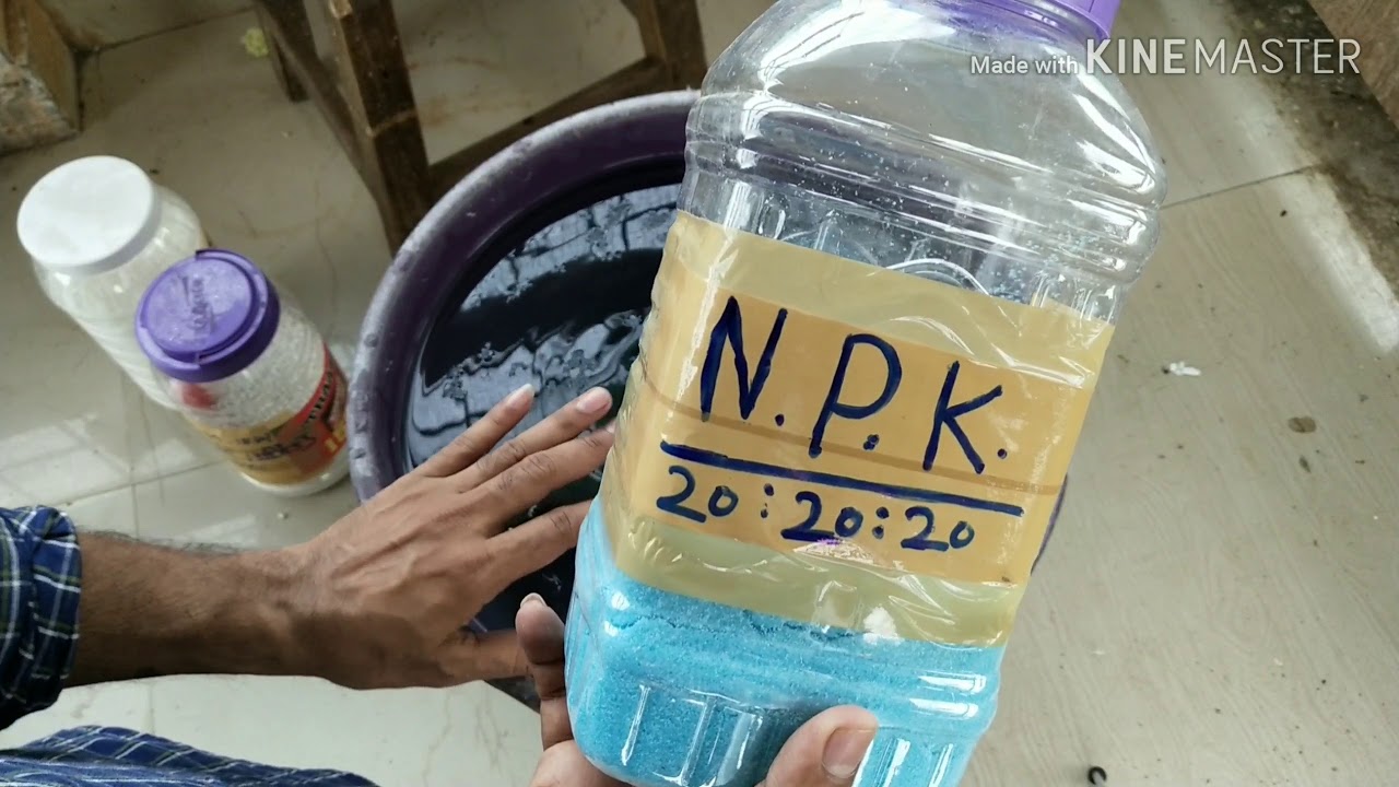 Hydroponic system How to check water PH and TDS level .
