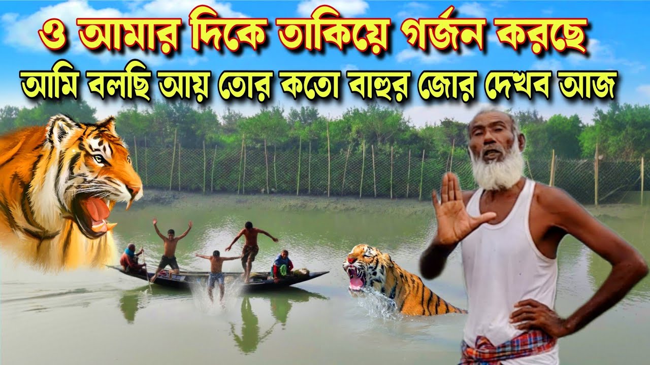 বাঘ মানুষের ভয়ানক লড়াই ২ ঘণ্টা ধরে 🐯//sundarban tiger attac//royal bengal tiger//sundarban 