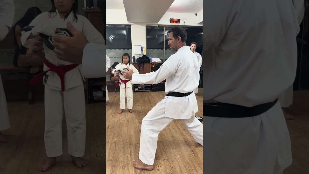 Mawashi-Geri e Kizame-Mawashi - aplicando e entendendo defesas - Instrutor Paulo Pestana 