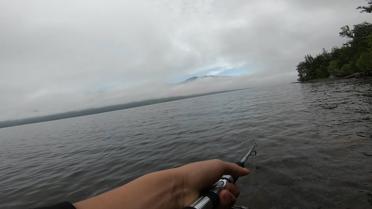 Pesca de Orilla con devolución Lago Colico - Cunco Región de la Araucanía  /Camping/porrazos.
