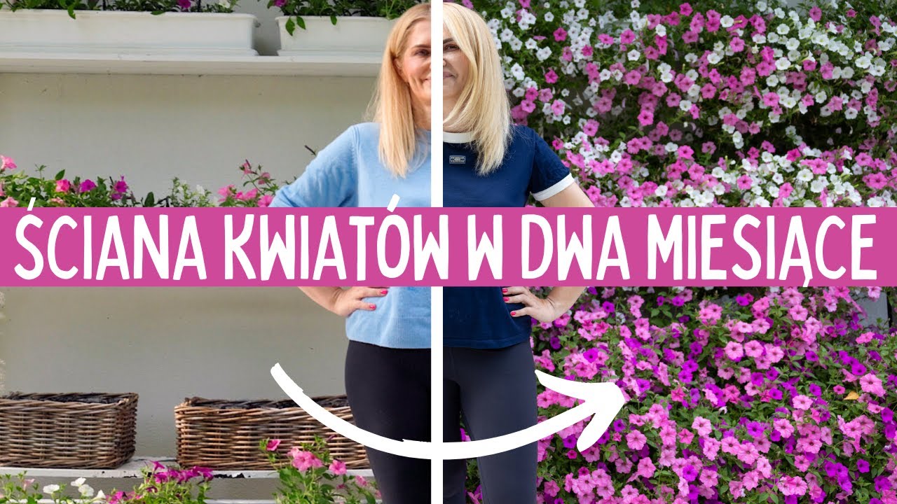 Stw&oacute;rz ze mną ścianę z kwiat&oacute;w! Supertunie krok po kroku