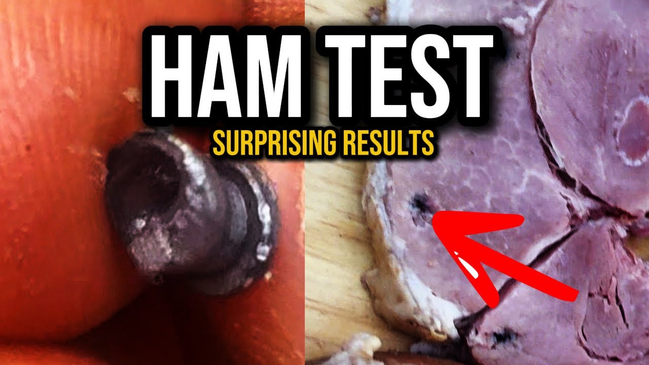 Dad & Daughter Test 7 Pellets vs HAM | Air Venturi Alpha .22 