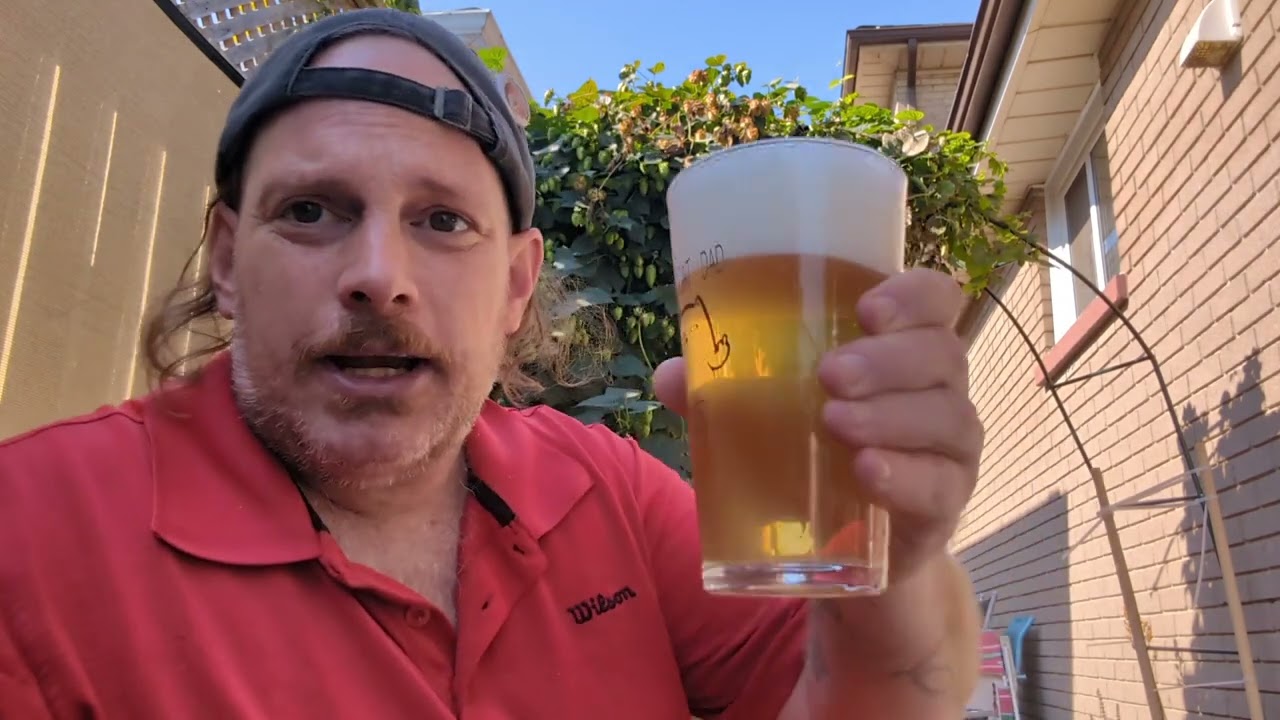 COLLECTIVE ARTS COLLECTIVE LAGER (2024) #cheerstobeers #beerlife #craftbeerlove #beerreview #beer