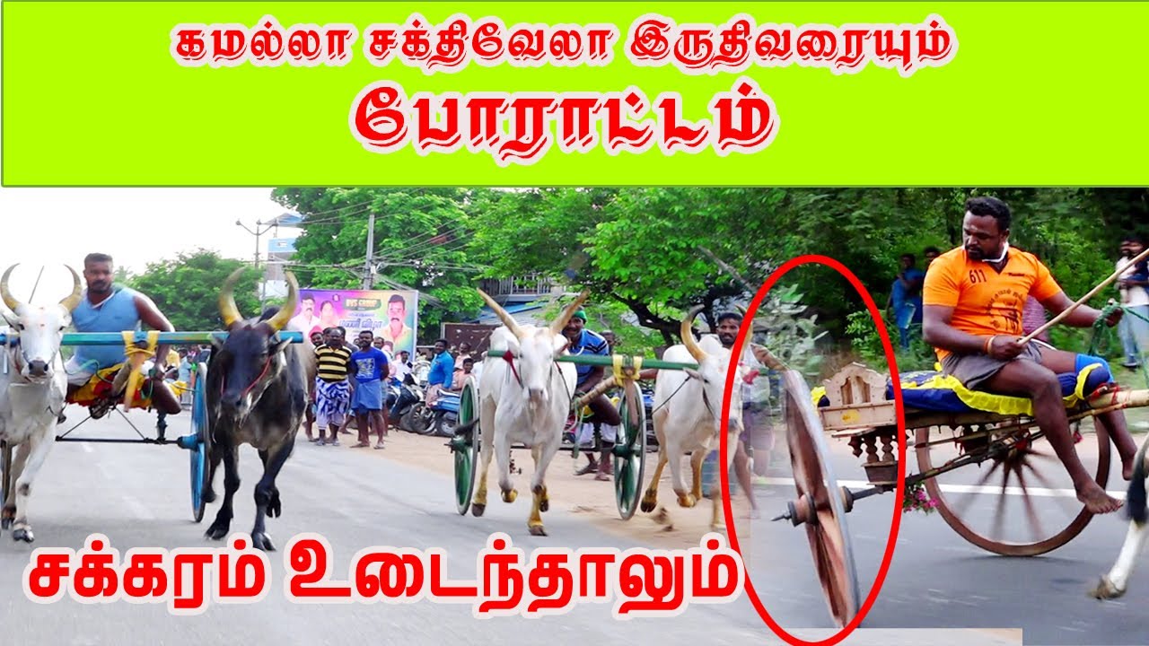 பெரியமாடு அறந்தாங்கி மூவேந்தர் மாபெரும் மாட்டுவண்டி பந்தயம் 15.05,2022