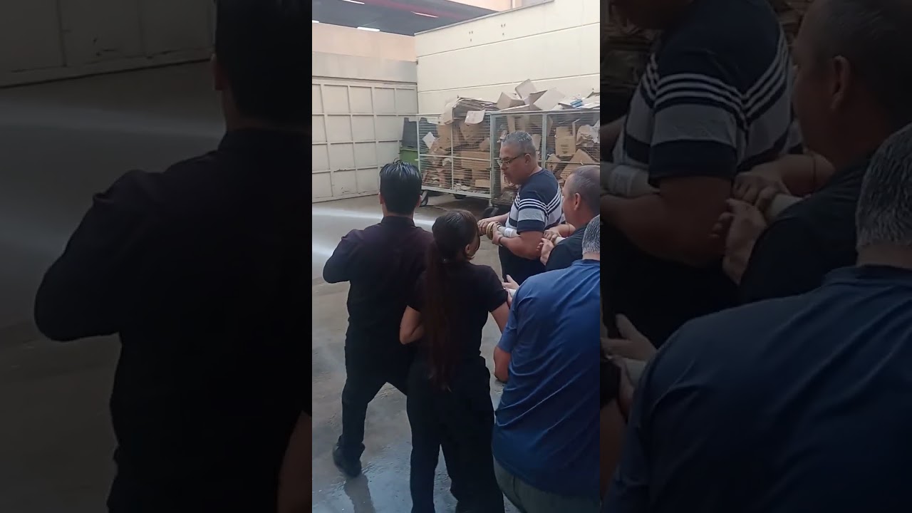 Treinar e salvar