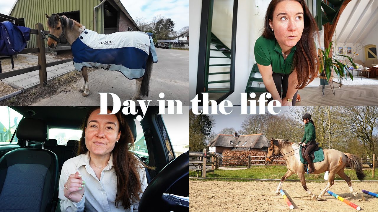 Day in the life; voor jezelf werken met 3 paarden aan huis