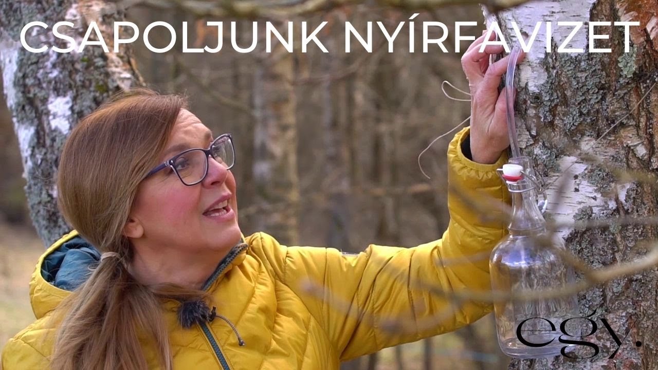 Borbás Marcsi: Kertem - Csapoljunk nyírfavizet! (49. rész)
