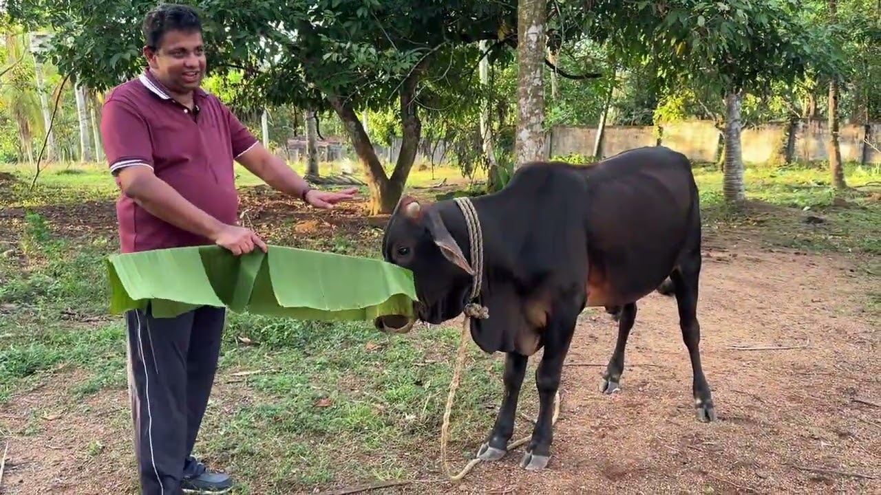 හිත නිවන පරිසරය ...