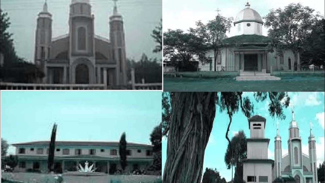 COLHODAS UCRÁINA DE VERA GUARANI