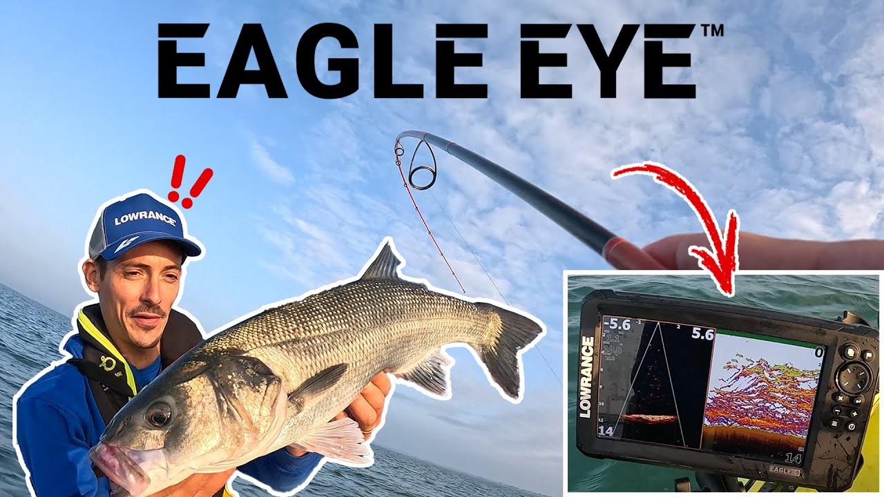 🎣 PECHE du BAR en MER et en KAYAK avec le EAGLE EYE