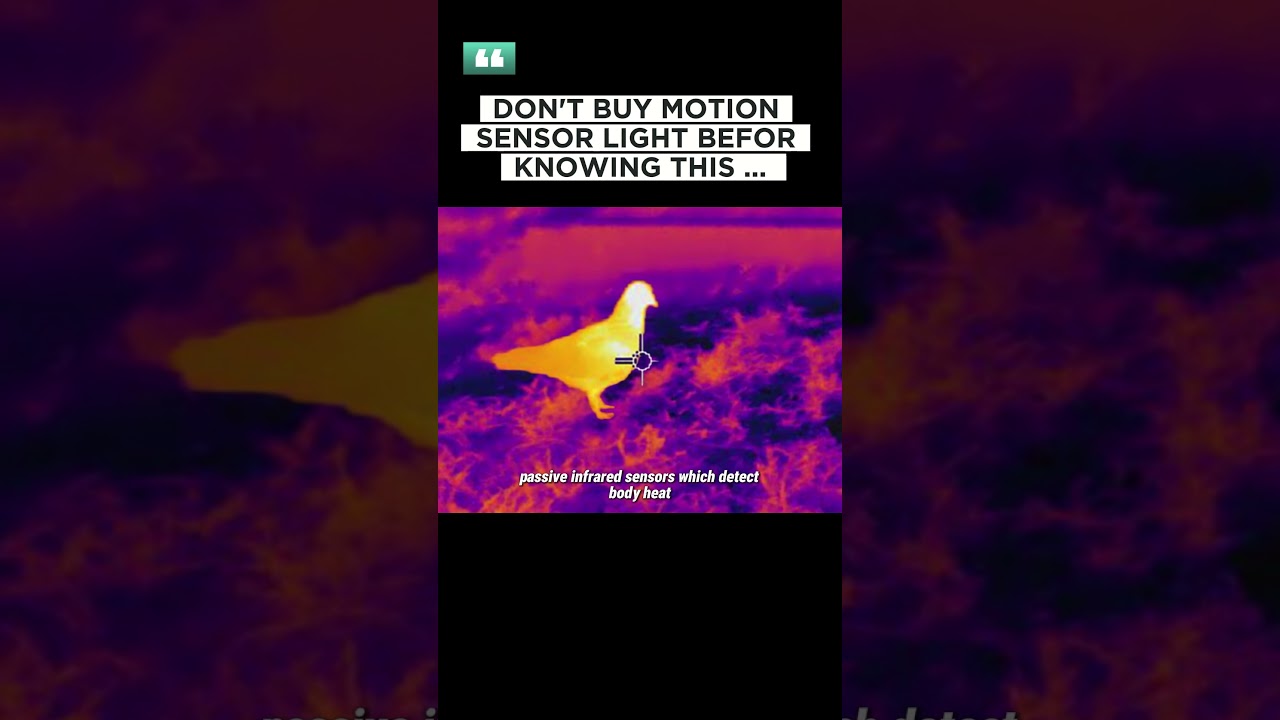Stop! Don&rsquo;t Buy Motion Sensor Lights Until You Know THIS! 🚨💡