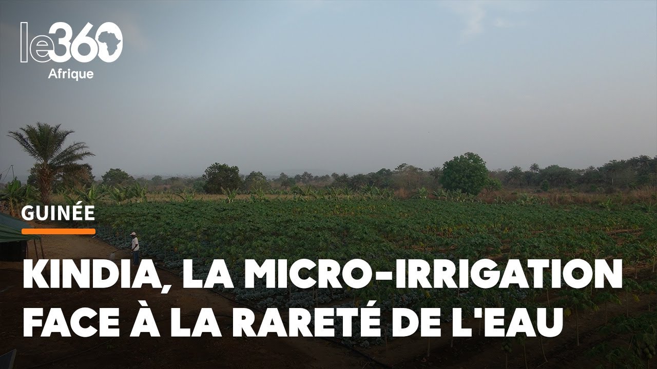 Guinée: face à la raréfaction de l’eau, le recours à la micro-irrigation