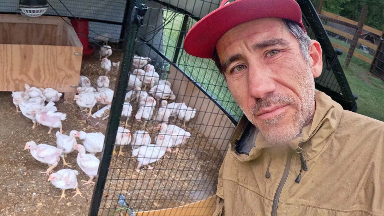 Saving Chickens from a Flooded Coop