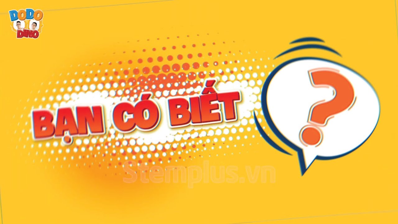 DODO DINO| 1001 điều th&uacute; vị về dạ d&agrave;y| Khoa học vui nhộn - STEM - STEAM