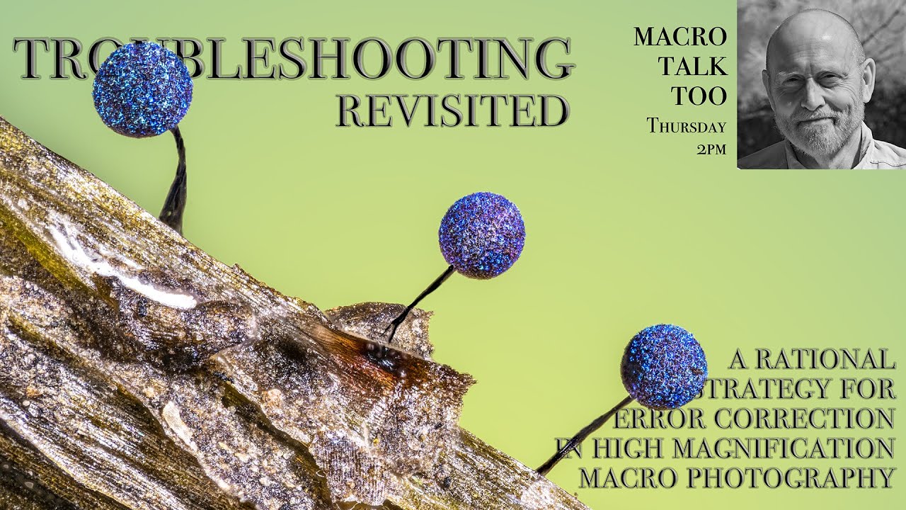 Troubleshooting revisited - Macro Talk Too #174-  AWPhotography 1/8/26