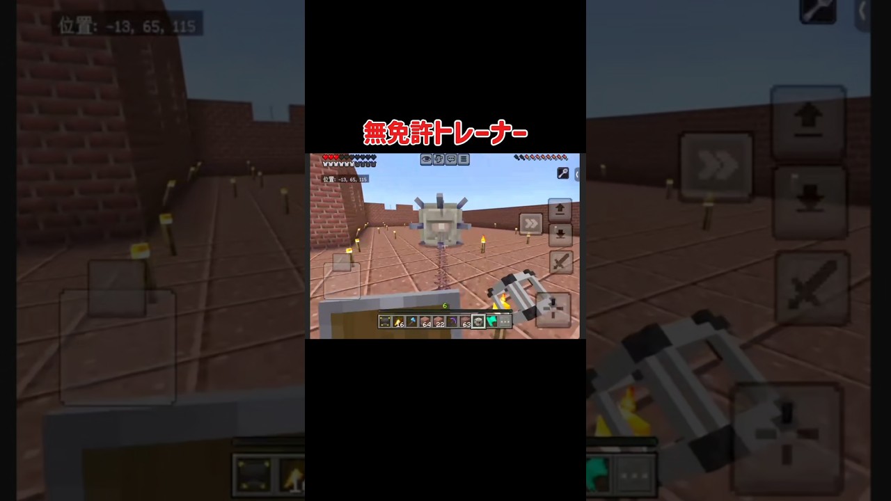 【Minecraft】無免許トレーナー　　