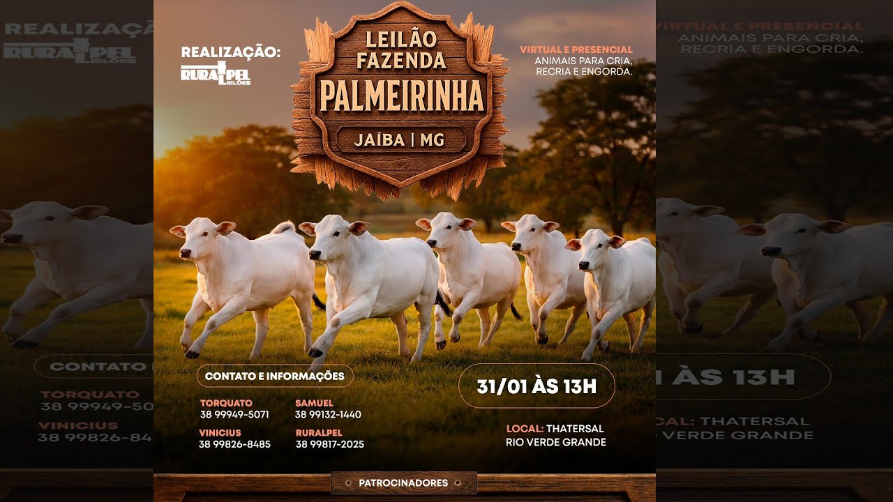 Leilão da Fazenda Palmeirinha - Jaíba/MG