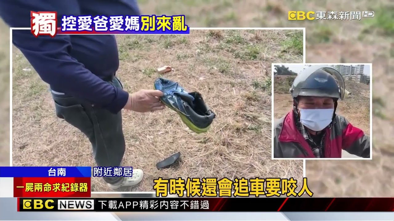 流浪狗成拖鞋大盜！ 動保處誘捕竟又遭放生@newsebc
