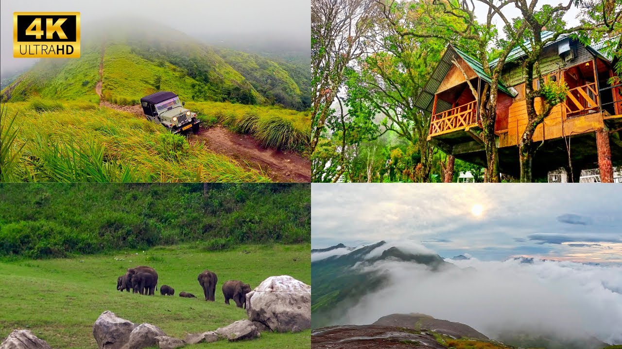 മൂന്നാറിൽ തീർച്ചയായും പോയിരിക്കേണ്ട സ്ഥലങ്ങൾ | Great Escapes Gap Road, Munnar | 4K UHD
