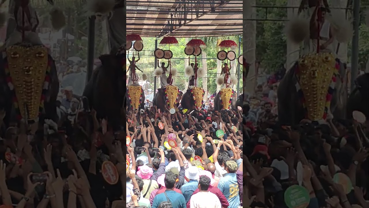 Thrissur Pooram 2025 LIVE