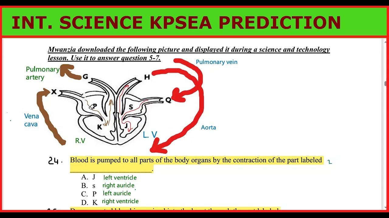КОМПЛЕКСНЫЙ ПЕРЕСМОТР НАУЧНЫХ МАТЕРИАЛОВ ПРОГНОЗИРОВАНИЕ KPSEA 6 КЛАСС