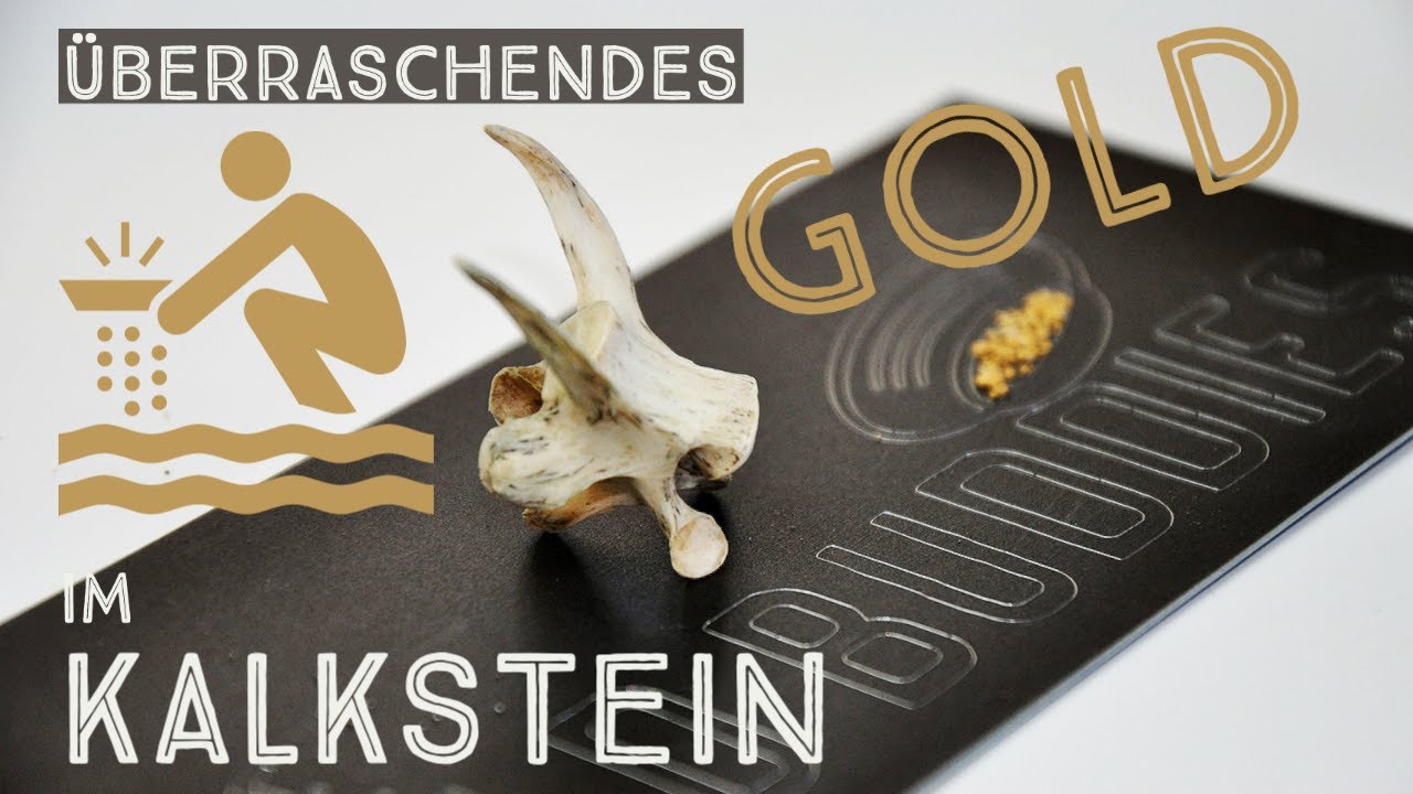 Goldwaschen - Überraschendes Gold im Kalkstein
