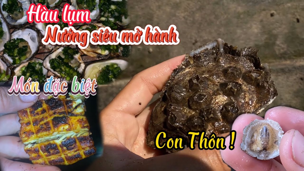 Đi ra cóng diệt con Thôn và Hàu Sữa.lụm Hàu bự nướng siêu mở hành