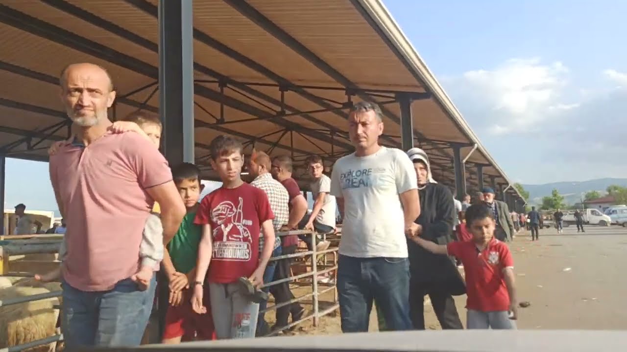 ERBAA HAYVAN PAZARI MAL PAZARI KURBAN BAYRAMI AREFE GÜNÜ   27 Haziran 2023