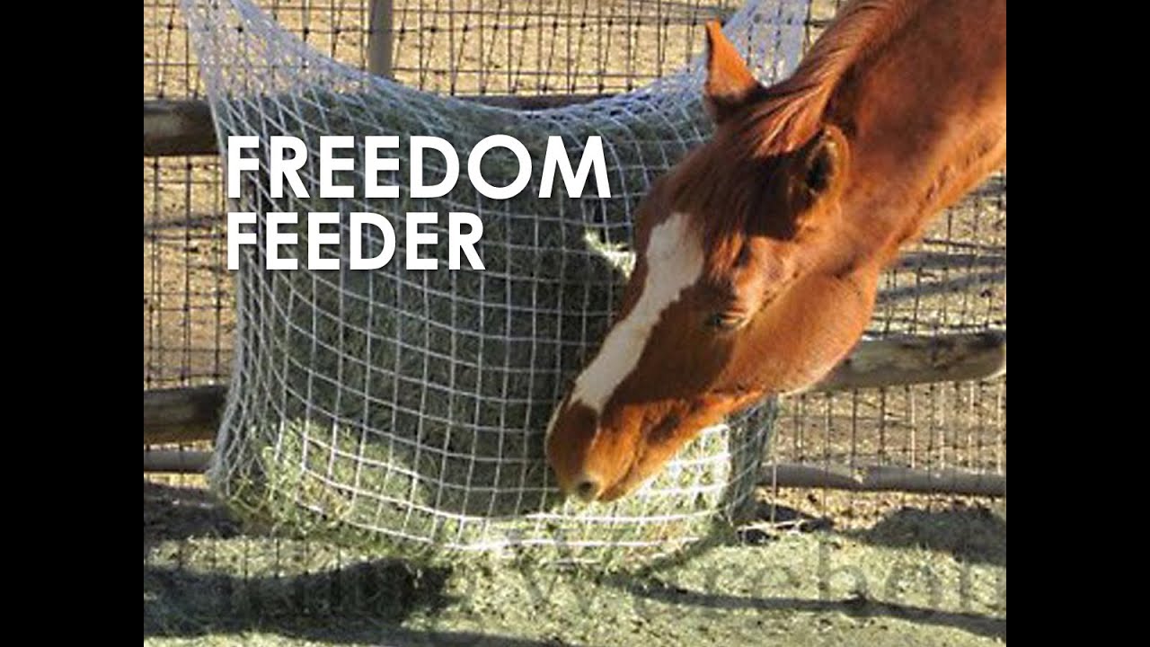 Freedom Feeder Extended Day Slow Feeder Hay Net