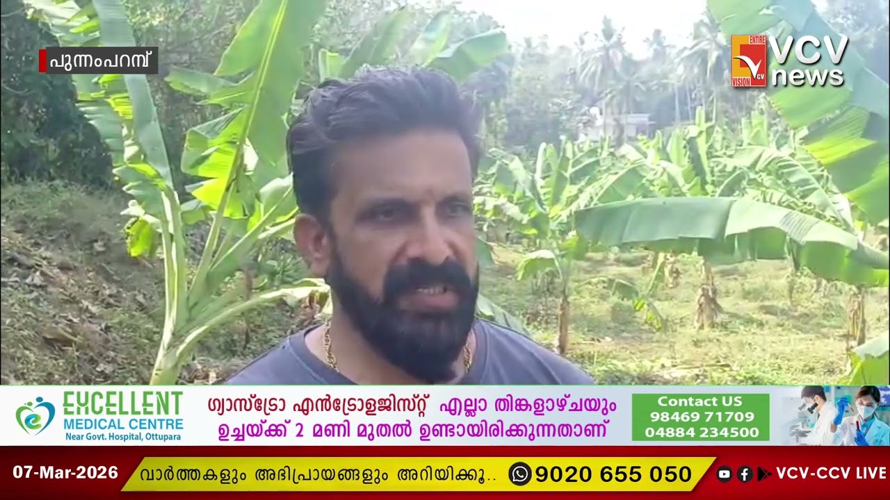 പുന്നംപറമ്പ്-മേപ്പാടം മേഖലയിൽ കാട്ടുപന്നികളുടെ വിളയാട്ടം മൂലം കർഷകർ വലിയ പ്രതിസന്ധി നേരിടുന്നു.