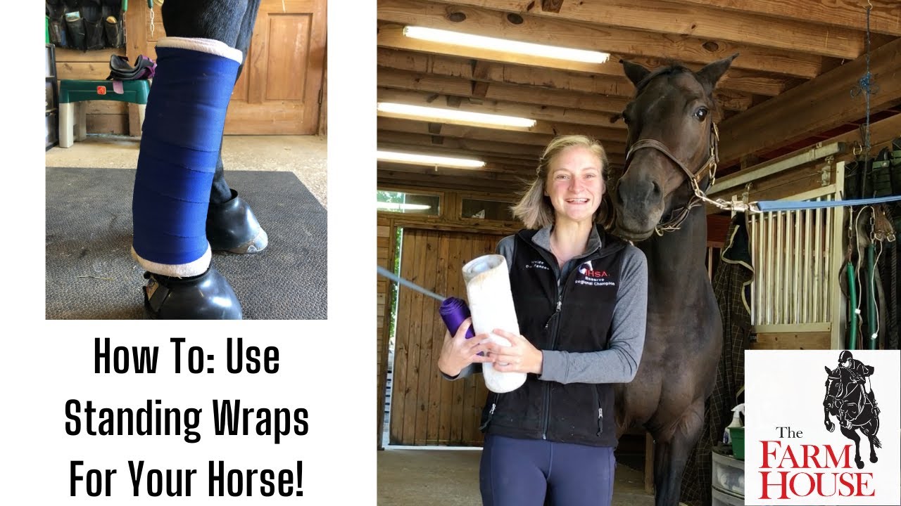 How To: Use Standing Wraps for Your Horse!
