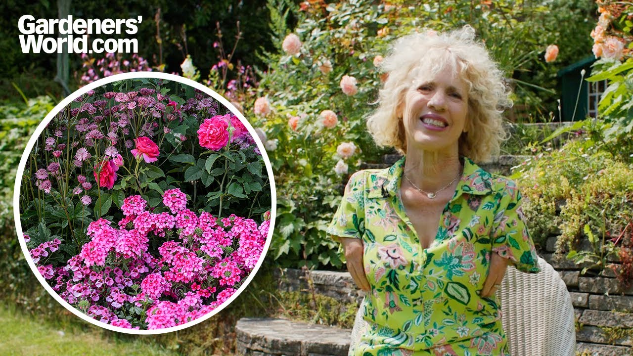 Best PINK FLOWERS for every garden | Sue Kent picks her favourite pink blooms