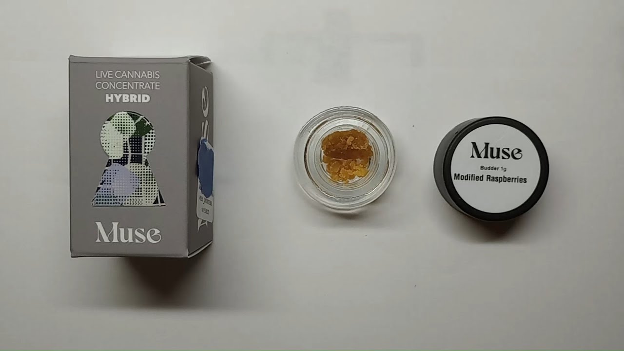 Muse Modified Raspberries Live Budder Review