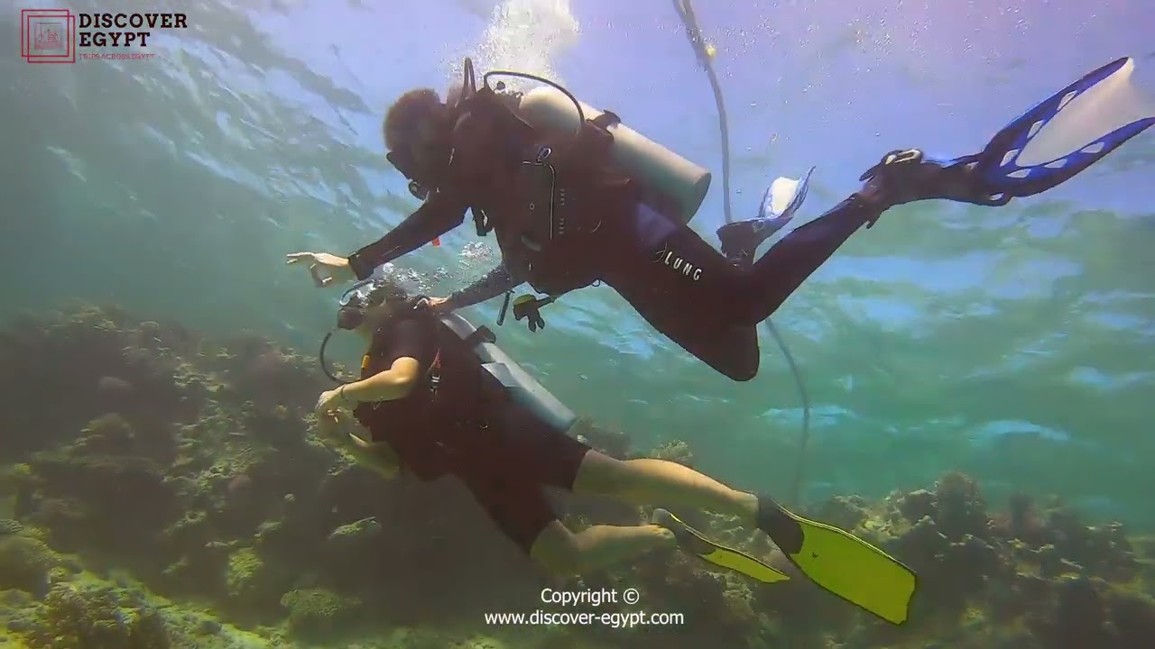 Discover Egypt provides a full range of diving courses 🤿🐠Make the most of each moment